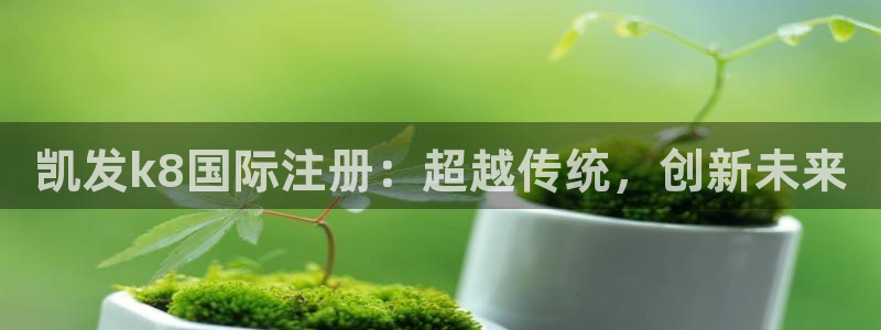 狗子28体育4：凯发k8国际注册：超越传统，创新未来