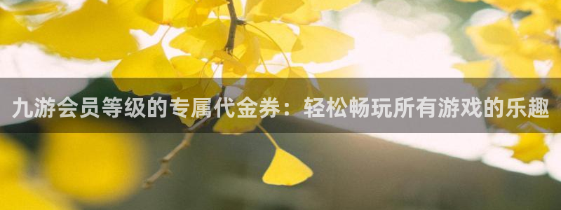 狗子28kgame：九游会员等级的专属代金券：轻松畅玩所有游戏的乐趣