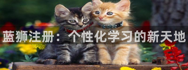 狗子28f凯捷平台在线注册：蓝狮注册：个性化学习的新天地