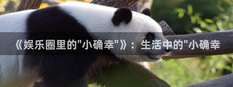 狗子28电子有限公司：《娱乐圈里的\