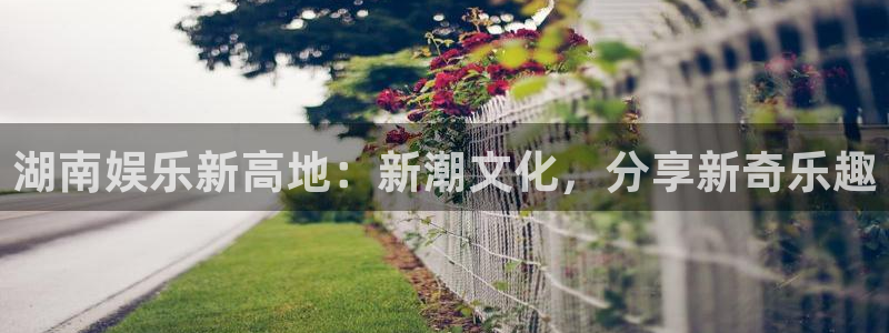 狗子28体育凯捷平台招商：湖南娱乐新高地：新潮文化，分享新奇乐趣