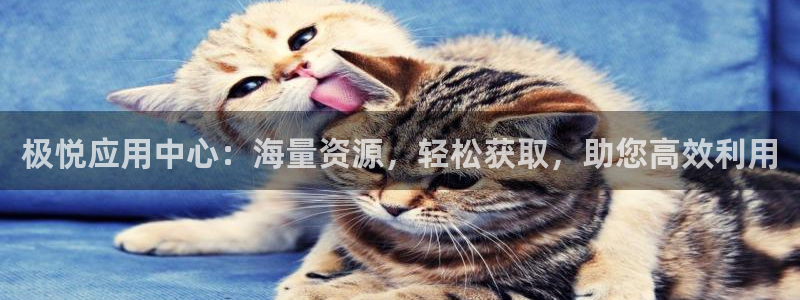 狗子28游戏有哪些好玩的：极悦应用中心：海量资源，轻松获取，助您高效利用