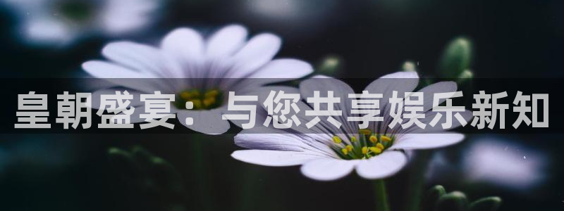 狗子28体育：皇朝盛宴：与您共享娱乐新知