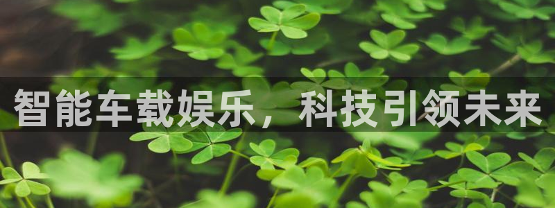 狗子28平台开户链接：智能车载娱乐，科技引领未来