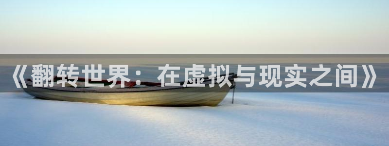 狗子28：《翻转世界：在虚拟与现实之间》