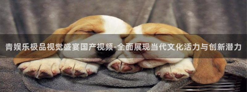 狗子28凯捷开号链接：青娱乐极品视觉盛宴国产视频-全面展现当代文化活力与创新潜力
