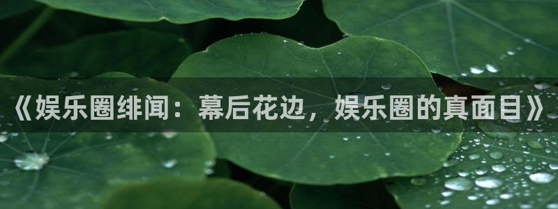 狗子28零能源集团：《娱乐圈绯闻：幕后花边，娱乐圈的真面目》
