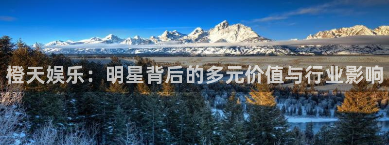 狗子28体育：橙天娱乐：明星背后的多元价值与行业影响