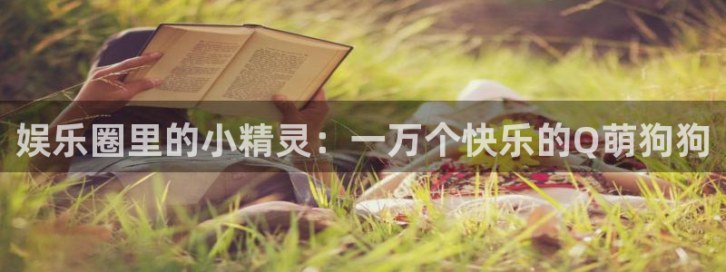 狗子282登录地址：娱乐圈里的小精灵：一万个快乐的Q萌狗狗
