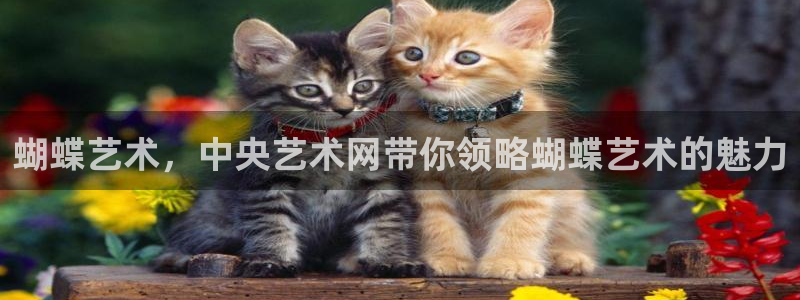 狗子28平台主管：蝴蝶艺术，中央艺术网带你领略蝴蝶艺术的魅力