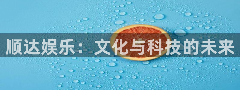 狗子284：顺达娱乐：文化与科技的未来