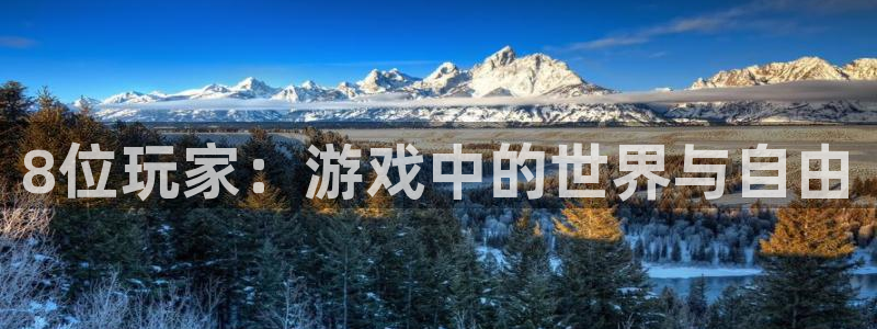 狗子28官网：8位玩家：游戏中的世界与自由