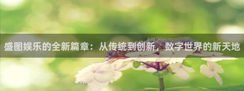 狗子282代理注册：盛图娱乐的全新篇章：从传统到创新，数字世界的新天地