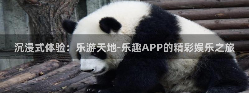 狗子28平台在线开户：沉浸式体验：乐游天地-乐趣APP的精彩娱乐之旅