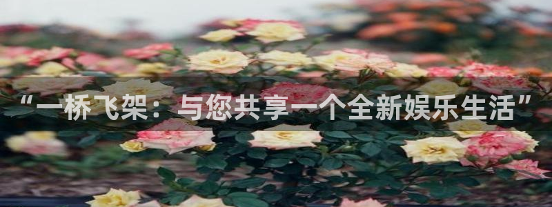 狗子28电子有限公司：“一桥飞架：与您共享一个全新娱乐生活”