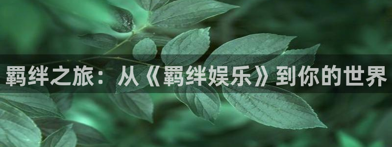 狗子28体育代理：羁绊之旅：从《羁绊娱乐》到你的世界