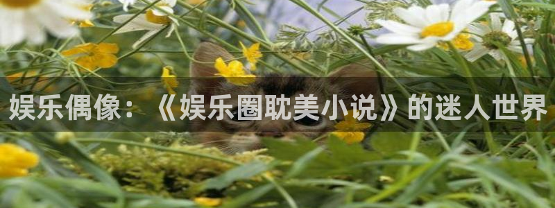 狗子28平台在线开户：娱乐偶像：《娱乐圈耽美小说》的迷人世界