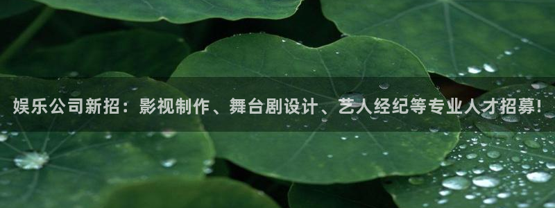 狗子283登陆：娱乐公司新招：影视制作、舞台剧设计、艺人经纪等专业人才招募!