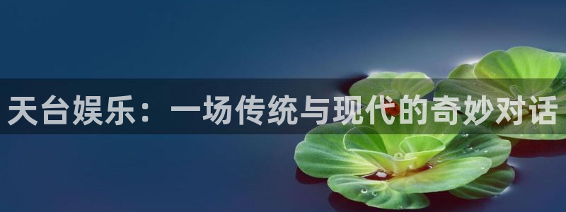 上海狗子28汽车电子有限公司：天台娱乐：一场传统与现代的奇妙对话